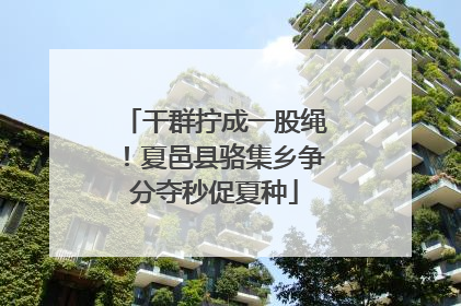 干群拧成一股绳！夏邑县骆集乡争分夺秒促夏种