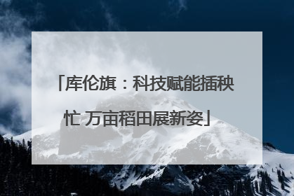 库伦旗：科技赋能插秧忙 万亩稻田展新姿