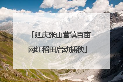 延庆张山营镇百亩网红稻田启动插秧