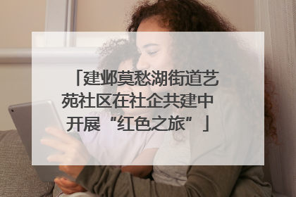 建邺莫愁湖街道艺苑社区在社企共建中开展“红色之旅”