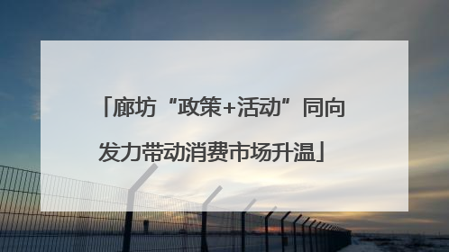 廊坊“政策+活动”同向发力带动消费市场升温