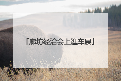 廊坊经洽会上逛车展
