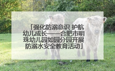 强化防溺意识 护航幼儿成长——合肥市明珠幼儿园如园分园开展防溺水安全教育活动