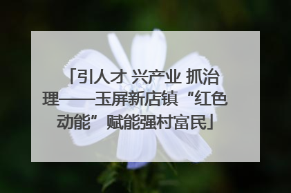 引人才 兴产业 抓治理——玉屏新店镇“红色动能”赋能强村富民