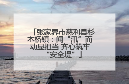 张家界市慈利县杉木桥镇：闻“汛”而动显担当 齐心筑牢“安全堤”