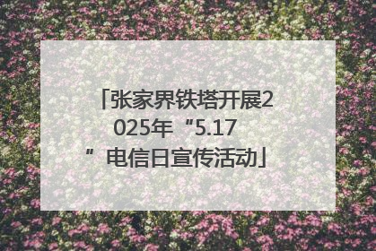 张家界铁塔开展2025年“5.17”电信日宣传活动