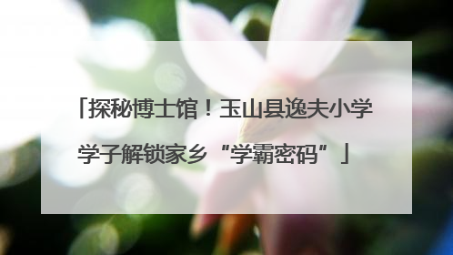 探秘博士馆！玉山县逸夫小学学子解锁家乡“学霸密码”