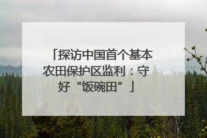 探访中国首个基本农田保护区监利：守好“饭碗田”