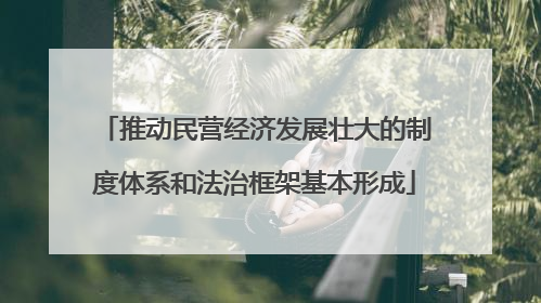 推动民营经济发展壮大的制度体系和法治框架基本形成