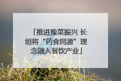 推进豫菜振兴 长垣将“药食同源”理念融入餐饮产业