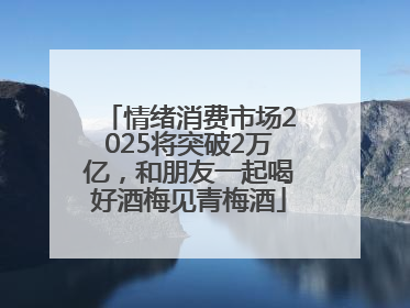 情绪消费市场2025将突破2万亿，和朋友一起喝好酒梅见青梅酒