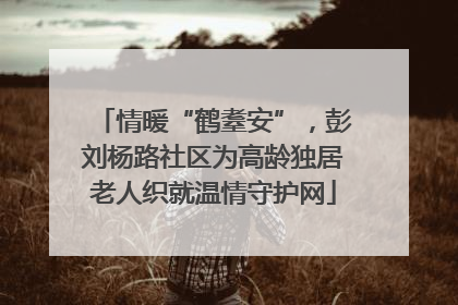 情暖“鹤耋安”，彭刘杨路社区为高龄独居老人织就温情守护网
