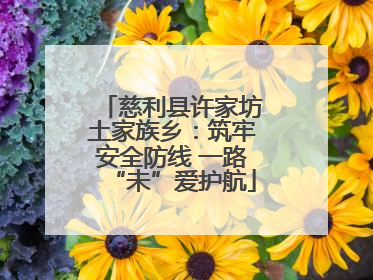 慈利县许家坊土家族乡：筑牢安全防线 一路“未”爱护航