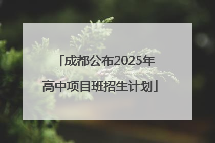 成都公布2025年高中项目班招生计划