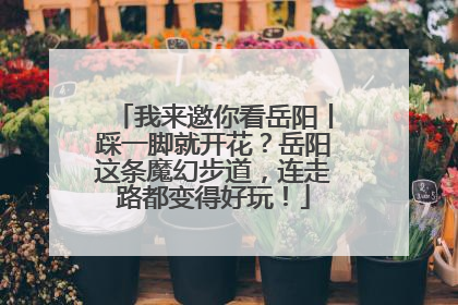 我来邀你看岳阳丨踩一脚就开花？岳阳这条魔幻步道，连走路都变得好玩！