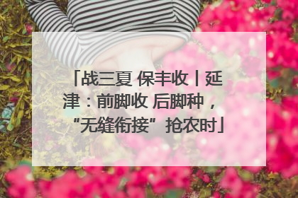 战三夏 保丰收丨延津：前脚收 后脚种，“无缝衔接”抢农时