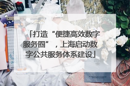 打造“便捷高效数字服务圈”，上海启动数字公共服务体系建设