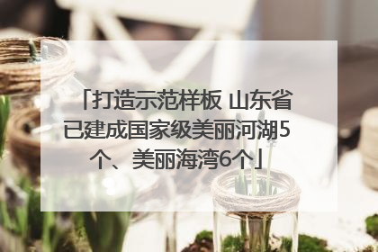 打造示范样板 山东省已建成国家级美丽河湖5个、美丽海湾6个