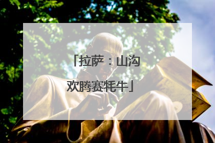 拉萨：山沟欢腾赛牦牛