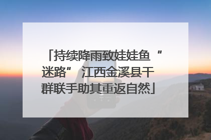 持续降雨致娃娃鱼“迷路” 江西金溪县干群联手助其重返自然