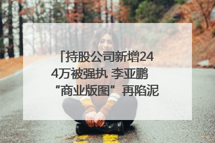 持股公司新增244万被强执 李亚鹏“商业版图”再陷泥潭？｜科技观察