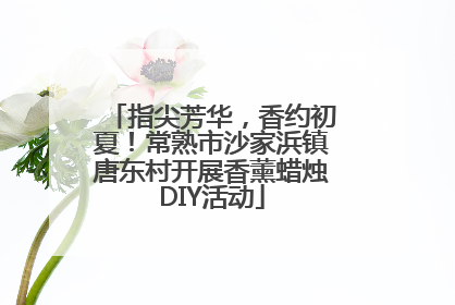 指尖芳华，香约初夏！常熟市沙家浜镇唐东村开展香薰蜡烛DIY活动