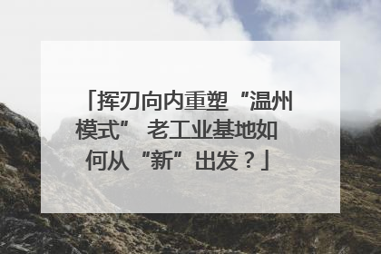 挥刃向内重塑“温州模式” 老工业基地如何从“新”出发？