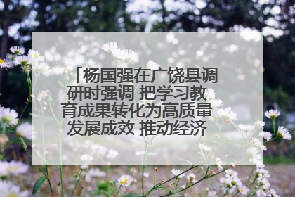杨国强在广饶县调研时强调 把学习教育成果转化为高质量发展成效 推动经济稳健向好进中提质