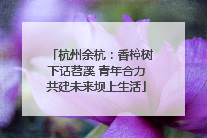 杭州余杭：香樟树下话苕溪 青年合力共建未来坝上生活