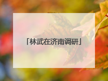 林武在济南调研