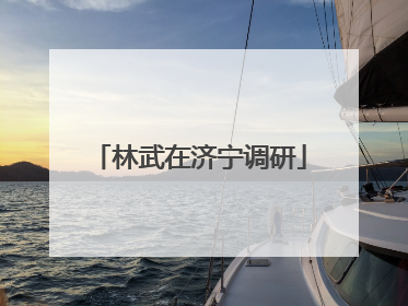 林武在济宁调研