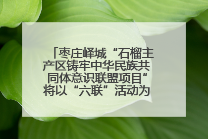 枣庄峄城“石榴主产区铸牢中华民族共同体意识联盟项目”将以“六联”活动为抓手深化品牌建设