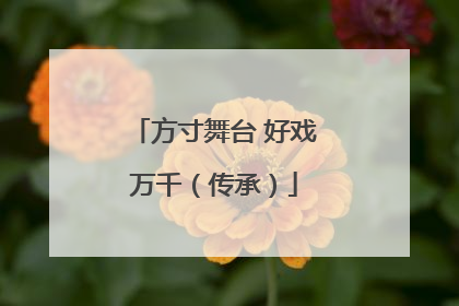 方寸舞台 好戏万千（传承）