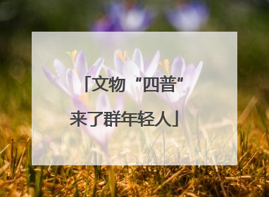 文物“四普”来了群年轻人