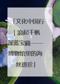 文化中国行｜浪起千帆 深蓝宝藏——博物馆里的海丝遗珍