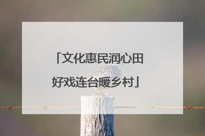 文化惠民润心田 好戏连台暖乡村