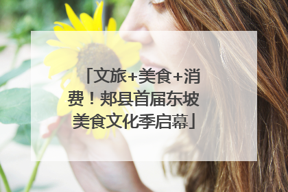 文旅+美食+消费！郏县首届东坡美食文化季启幕