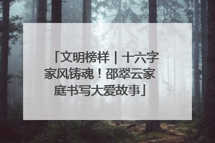 文明榜样｜十六字家风铸魂！邵翠云家庭书写大爱故事