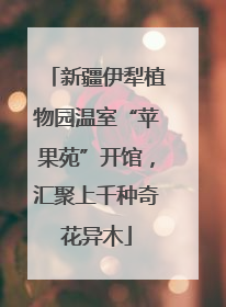 新疆伊犁植物园温室“苹果苑”开馆，汇聚上千种奇花异木