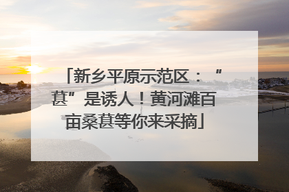 新乡平原示范区：“葚”是诱人！黄河滩百亩桑葚等你来采摘