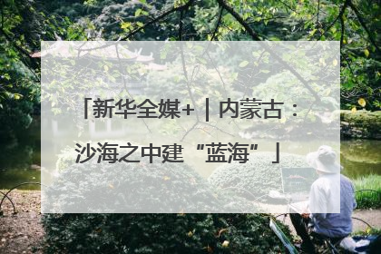新华全媒+｜内蒙古：沙海之中建“蓝海”