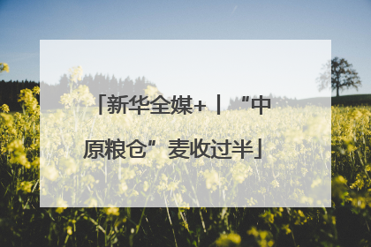 新华全媒+丨“中原粮仓”麦收过半