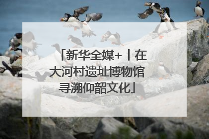新华全媒+丨在大河村遗址博物馆寻溯仰韶文化