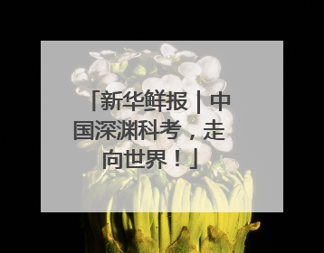 新华鲜报｜中国深渊科考，走向世界！
