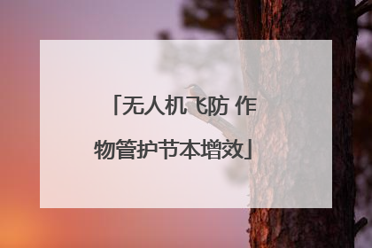 无人机飞防 作物管护节本增效
