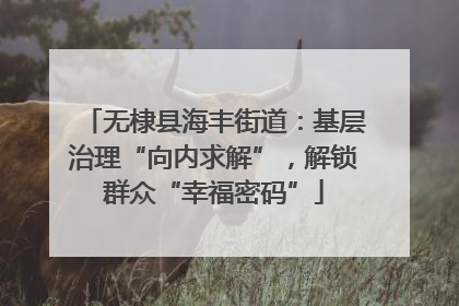 无棣县海丰街道：基层治理“向内求解”，解锁群众“幸福密码”