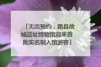 无需预约，路县故城遗址博物馆迎来首批实名制入馆游客