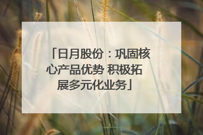 日月股份：巩固核心产品优势 积极拓展多元化业务
