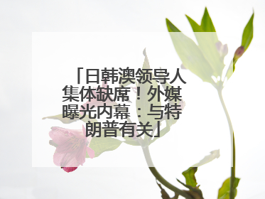日韩澳领导人集体缺席！外媒曝光内幕：与特朗普有关