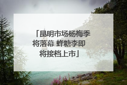 昆明市场杨梅季将落幕 蜂糖李即将接档上市